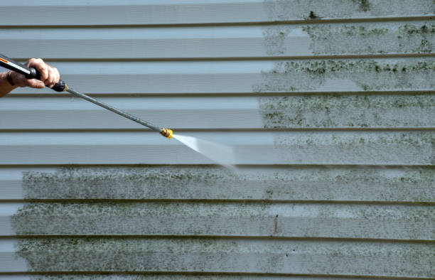Best Post-Flood Mold Remediation in East Camden, SC