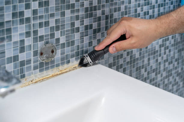 Best Mold Remediation for Schools in East Camden, SC